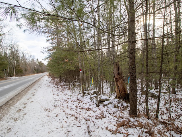 Listing photo 3 for LOT28-1-A Saco Rd, Standish ME 04084