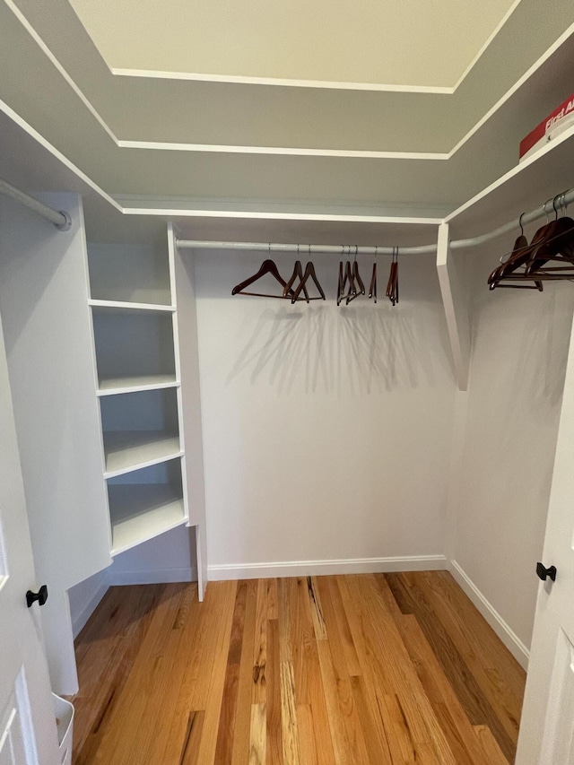 walk in closet featuring hardwood / wood-style floors