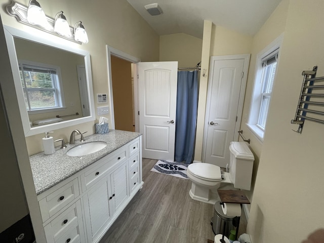 bathroom with vanity, toilet, walk in shower, vaulted ceiling, and hardwood / wood-style flooring