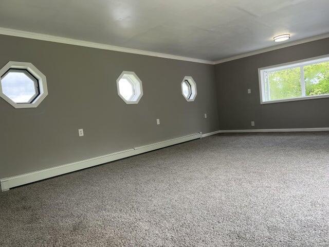 carpeted empty room with a wealth of natural light, a baseboard heating unit, and crown molding