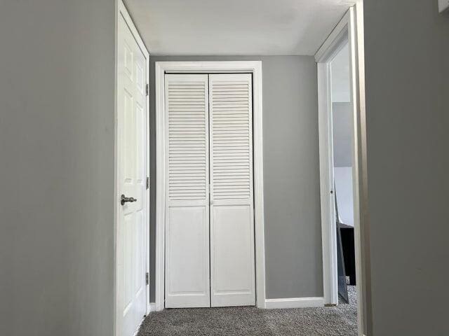 hallway with carpet flooring