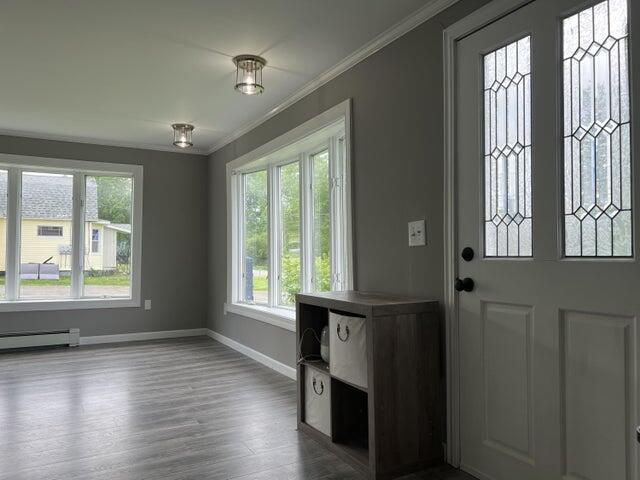 foyer entrance featuring a baseboard heating unit, crown molding, and hardwood / wood-style floors