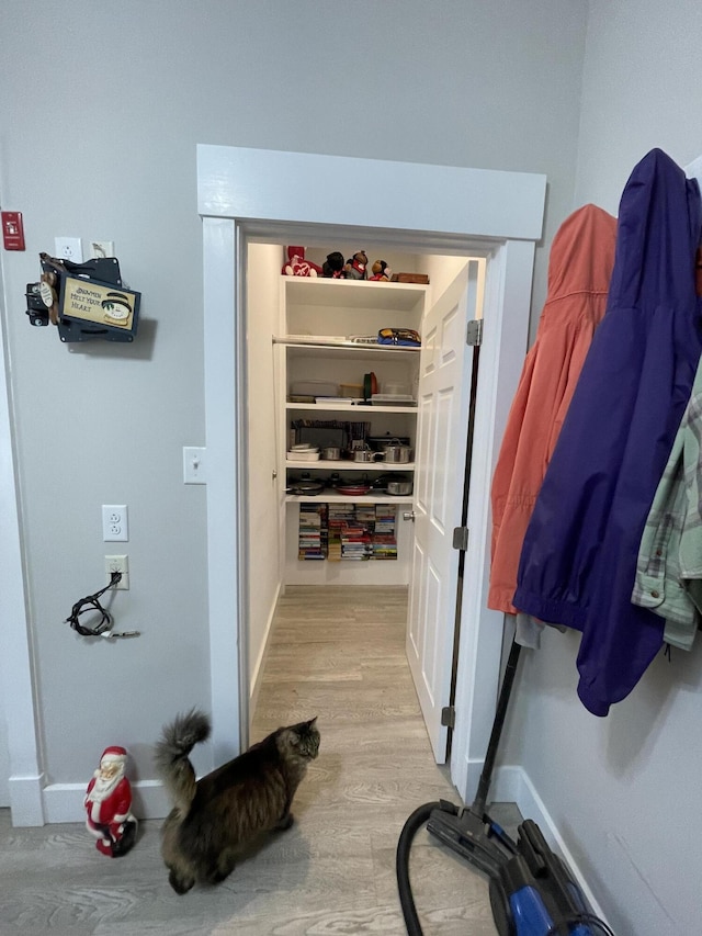 view of pantry