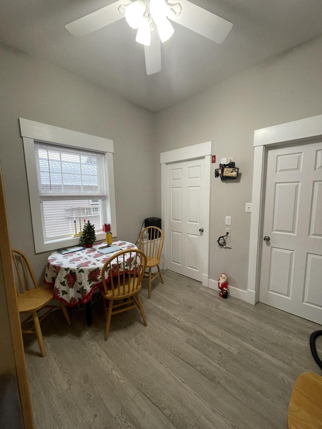 dining area with ceiling fan and hardwood / wood-style floors