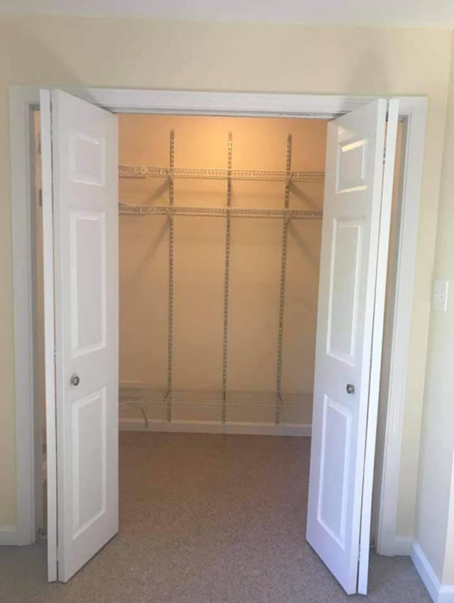 view of closet