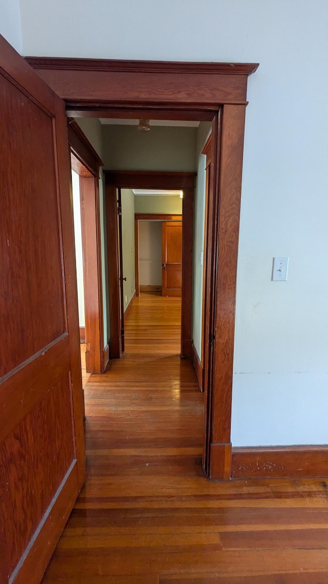 corridor featuring wood-type flooring