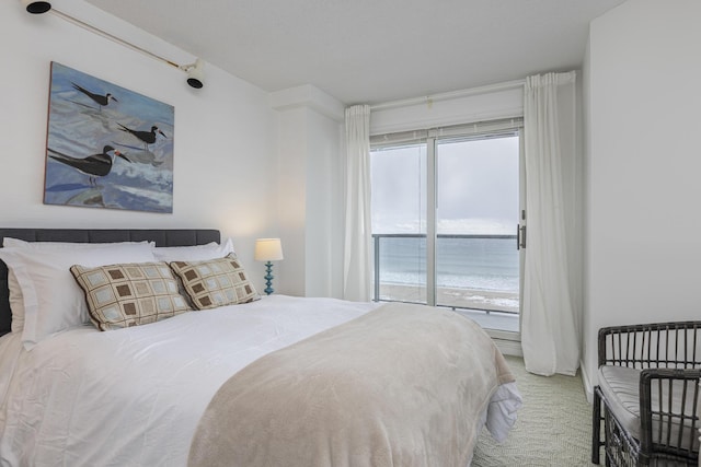 bedroom featuring multiple windows, light carpet, and access to outside