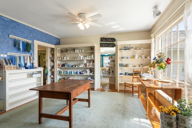 carpeted office with ceiling fan and crown molding