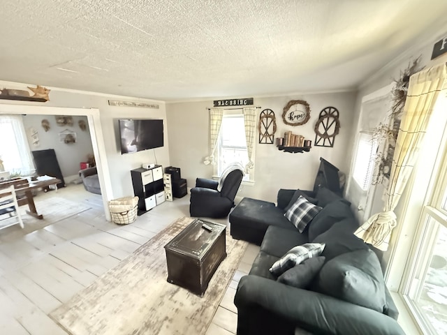 living room featuring a textured ceiling, light hardwood / wood-style flooring, and crown molding