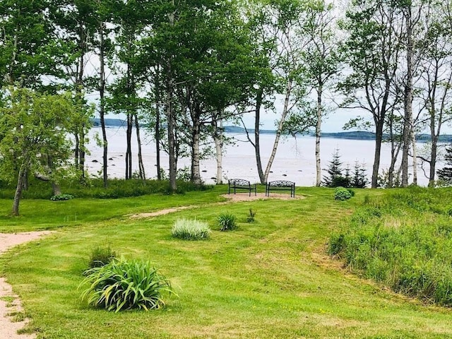 view of home's community featuring a water view and a yard