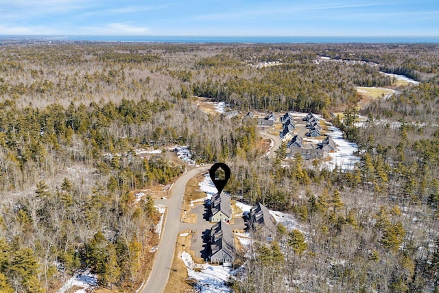 aerial view with a view of trees