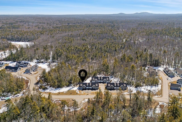 bird's eye view with a mountain view and a view of trees