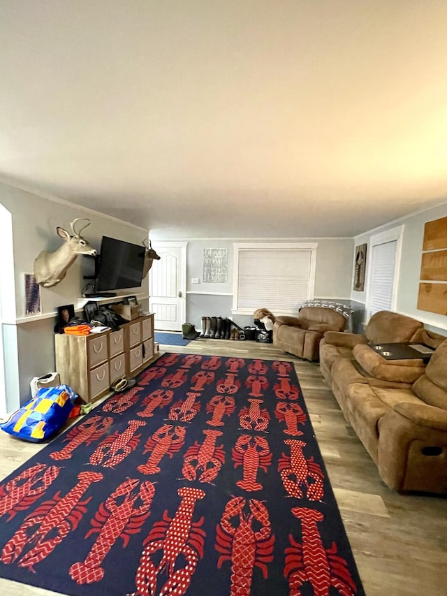 living room featuring light hardwood / wood-style floors