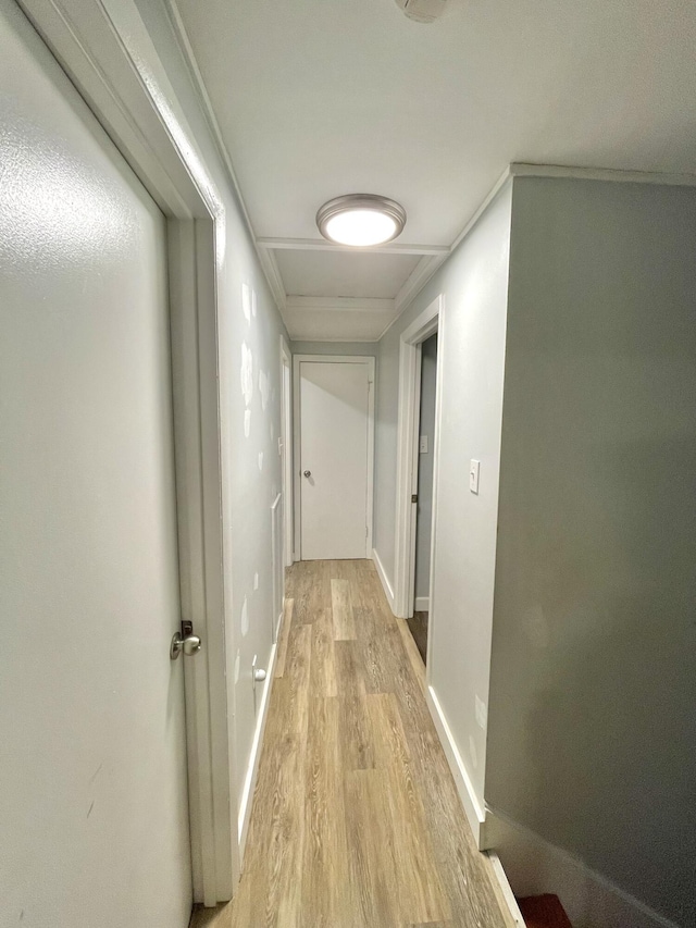 hall with ornamental molding and light hardwood / wood-style flooring