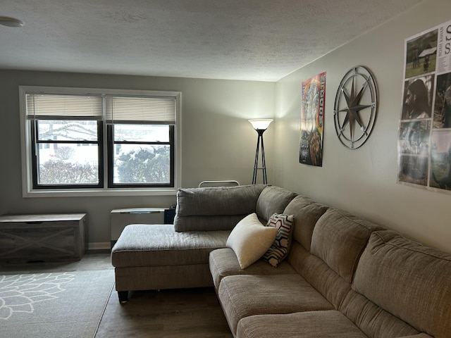 living room featuring hardwood / wood-style floors and a textured ceiling