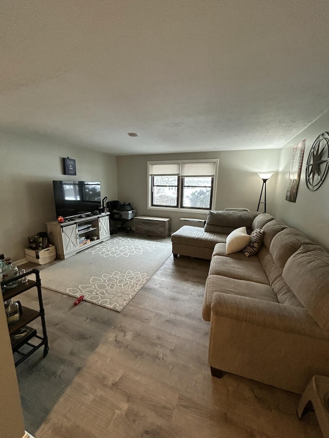 living room featuring hardwood / wood-style floors