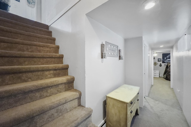 staircase with carpet flooring