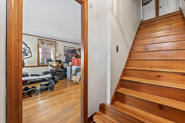 stairway featuring wood-type flooring