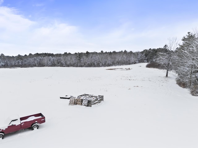 view of yard covered in snow