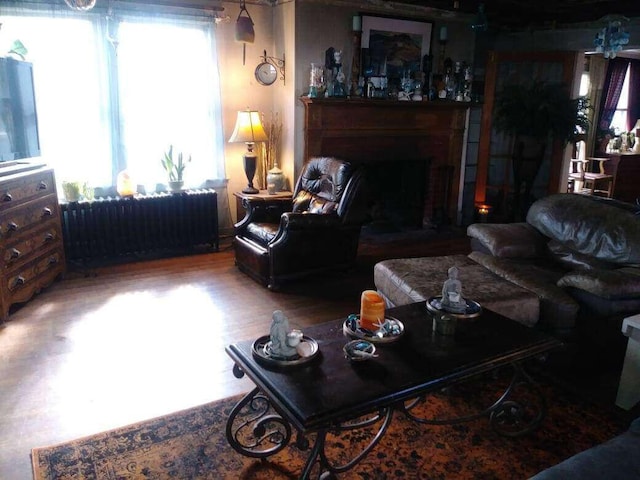 living room featuring a fireplace, radiator, and wood finished floors