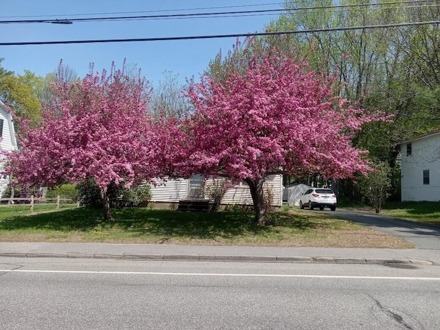 view of front of property with a front yard