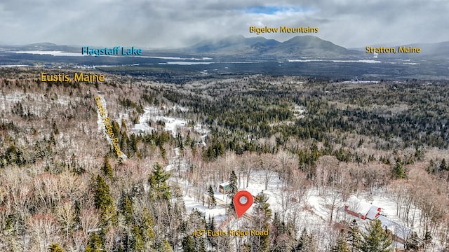 snowy aerial view featuring a mountain view