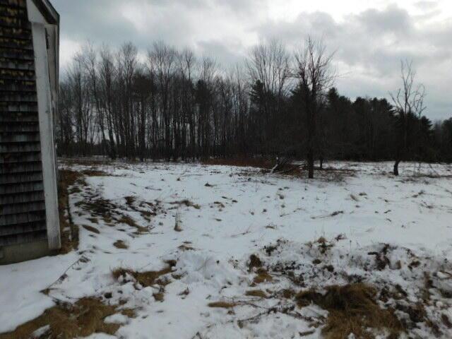 view of yard covered in snow