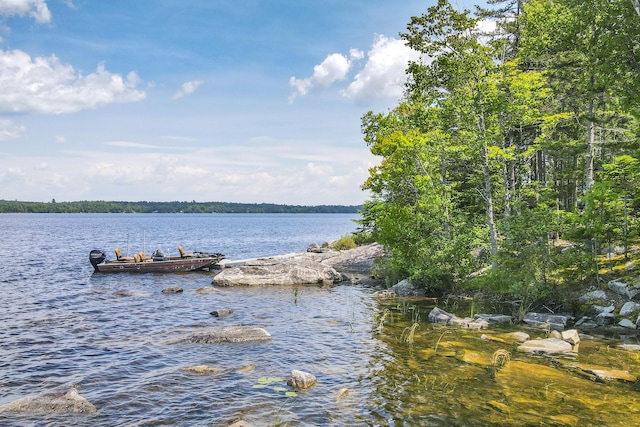 property view of water