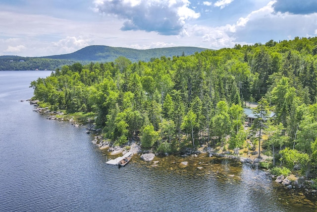 drone / aerial view with a water and mountain view