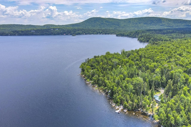 drone / aerial view with a water and mountain view