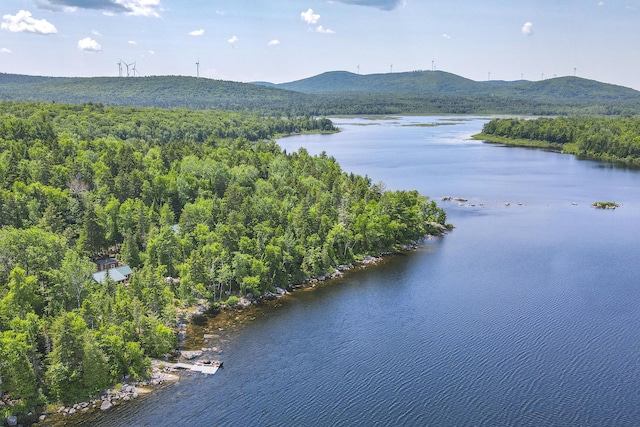 birds eye view of property featuring a water and mountain view