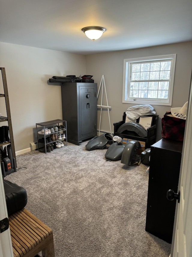 interior space featuring carpet floors