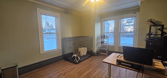 office featuring hardwood / wood-style flooring, a healthy amount of sunlight, and crown molding