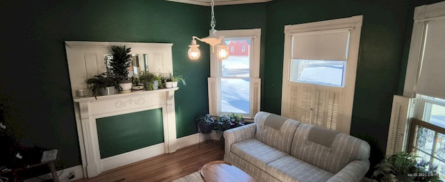 living area with wood-type flooring, plenty of natural light, and ornamental molding