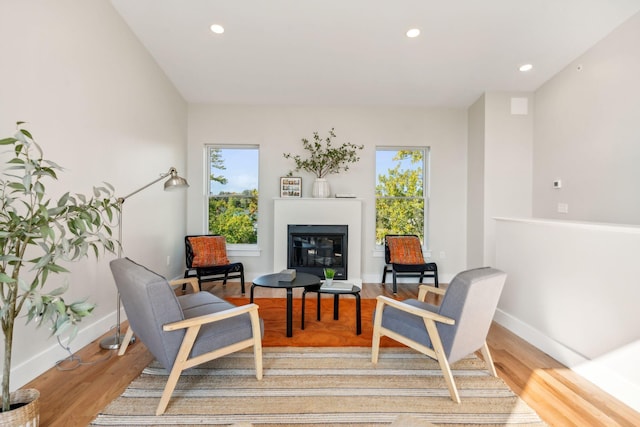 living area with light hardwood / wood-style floors