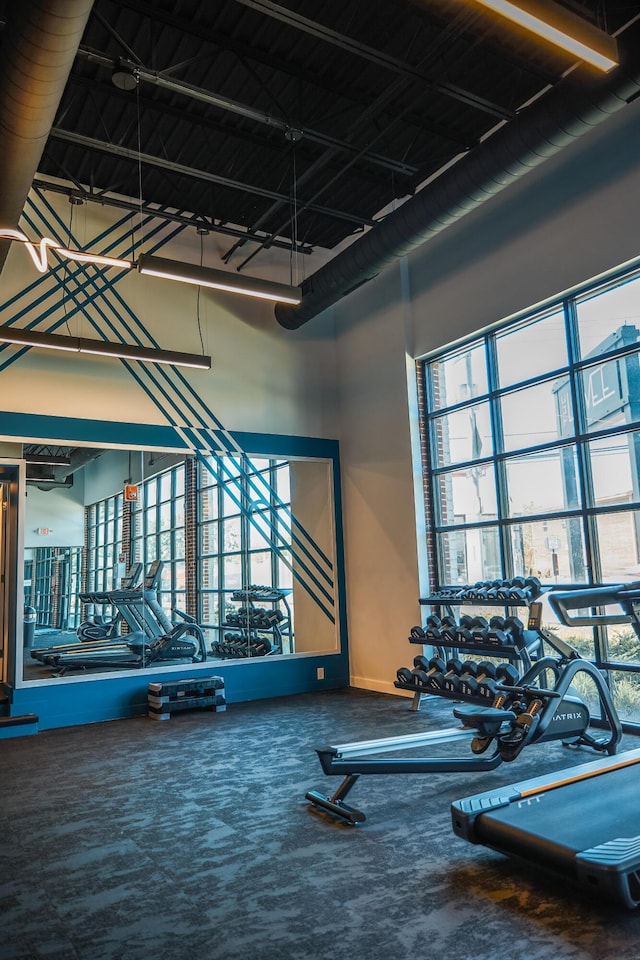 exercise room featuring a high ceiling and carpet