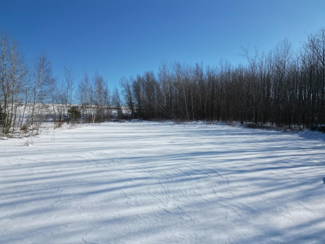 view of yard layered in snow