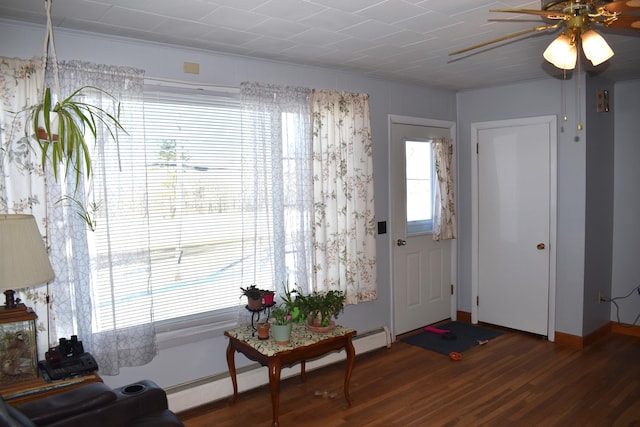 entrance foyer with dark hardwood / wood-style floors and ceiling fan