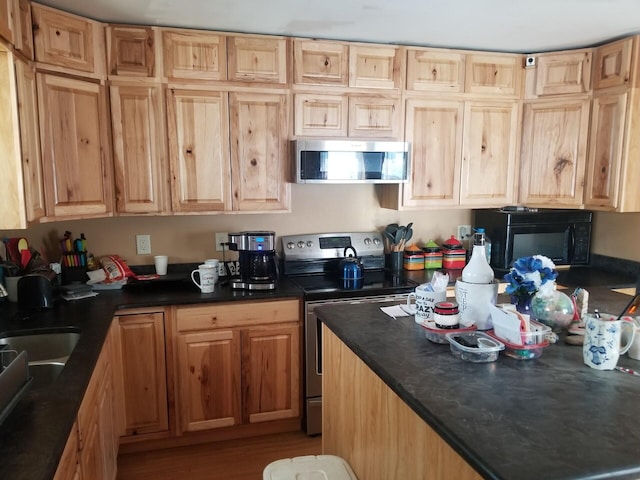 kitchen with light wood-type flooring, appliances with stainless steel finishes, and sink