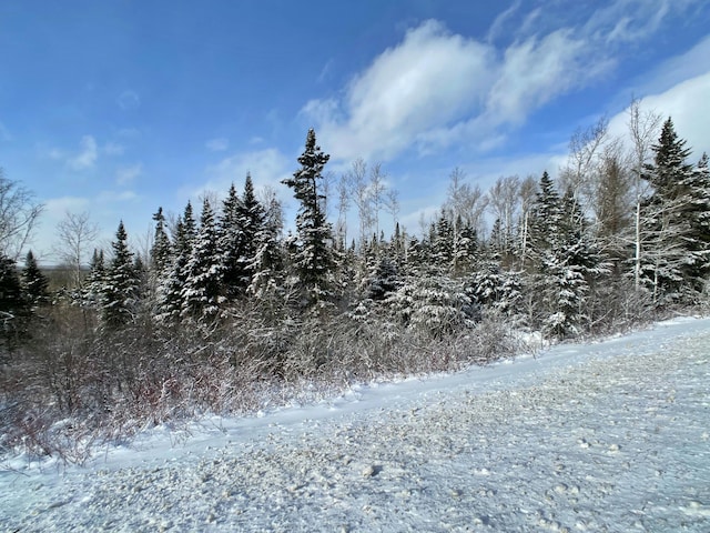 4-31 Caribou Rd, Cyr Plt ME, 04785 land for sale