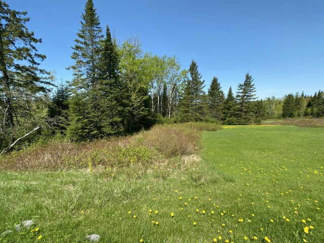 4-31 Caribou Rd, Cyr Plt, ME 04785 - photo 8