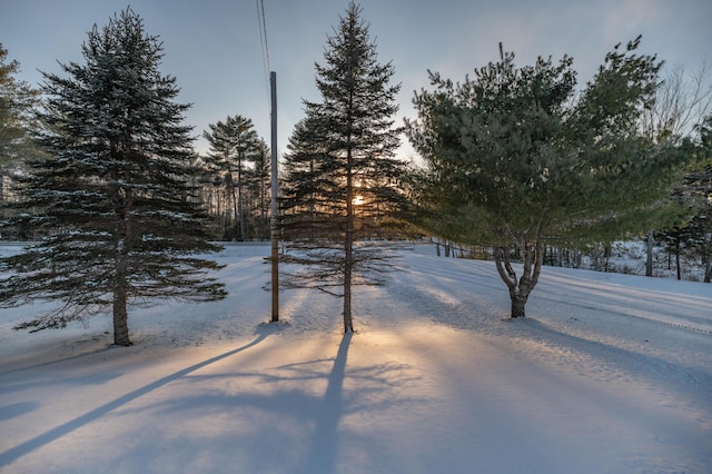 view of yard covered in snow