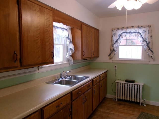 kitchen featuring sink, radiator heating unit, dark hardwood / wood-style floors, and plenty of natural light