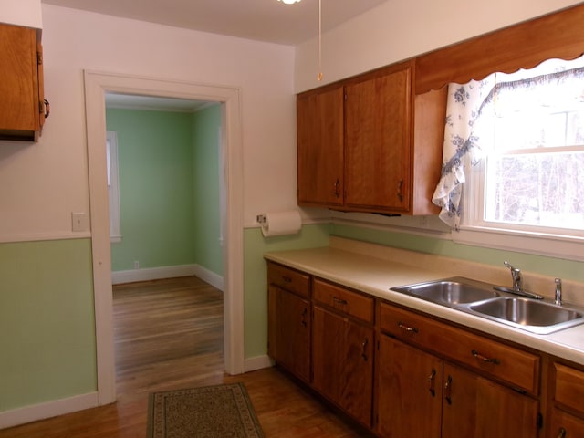 kitchen with sink and dark hardwood / wood-style floors