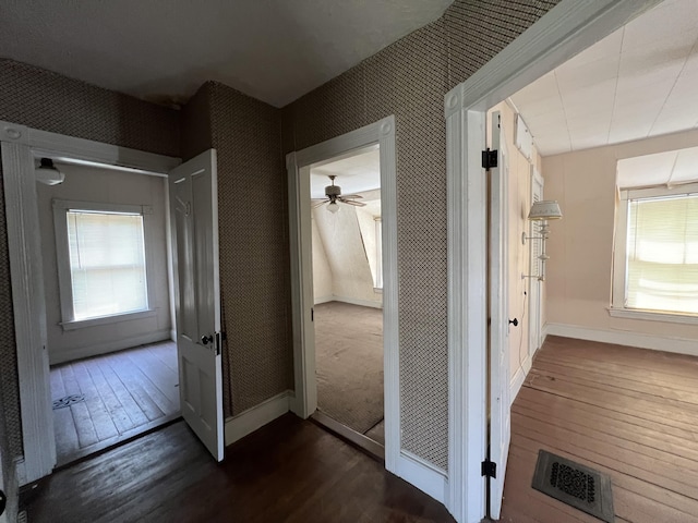 hall featuring dark hardwood / wood-style floors