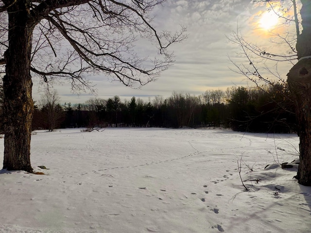 view of yard covered in snow