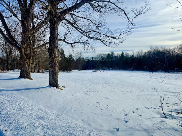 view of yard layered in snow