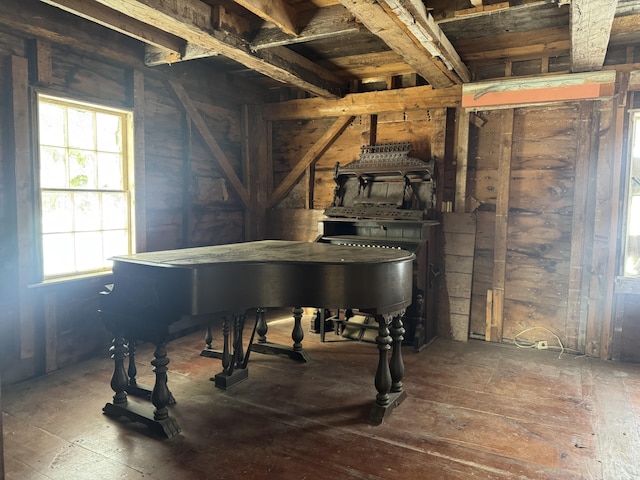 miscellaneous room with plenty of natural light