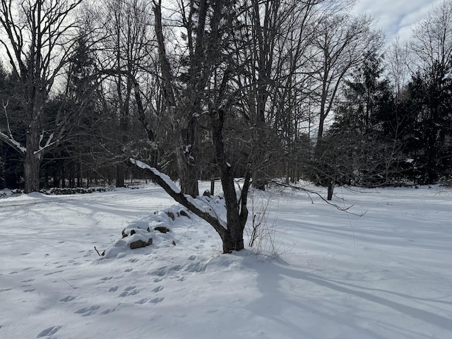 view of yard layered in snow