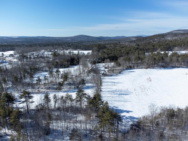 view of mountain feature